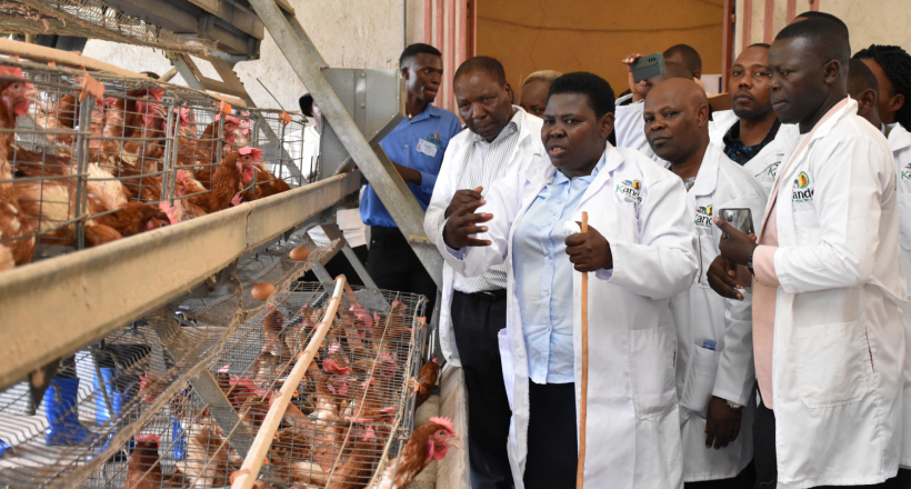 Embrace Poultry farming to fight poverty, Namayanja tells Nakaseke residents